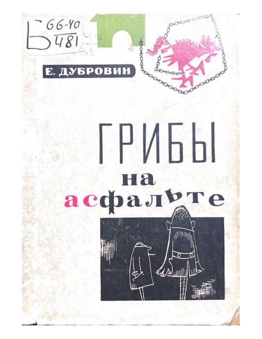 Грибы на асфальте